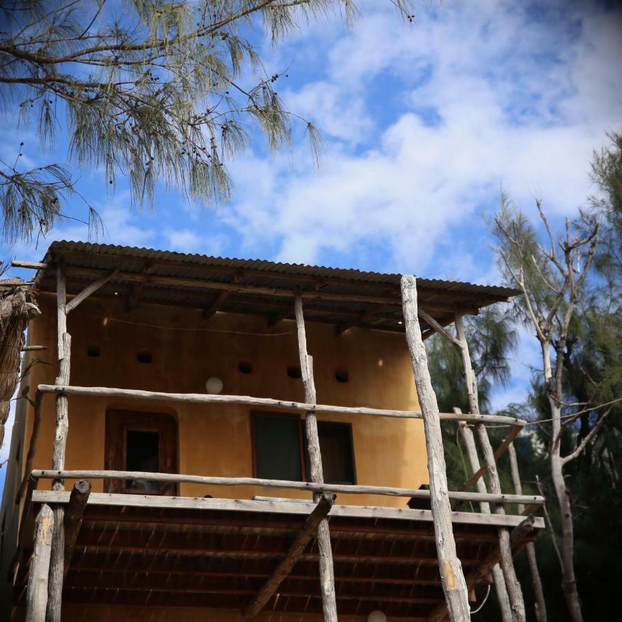Tree House Cottage, Ocean View Tofo ภายนอก รูปภาพ